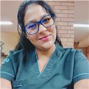 Clases virtuales de creación de proyectos, ensayos, informes y de toda clase de trabajos